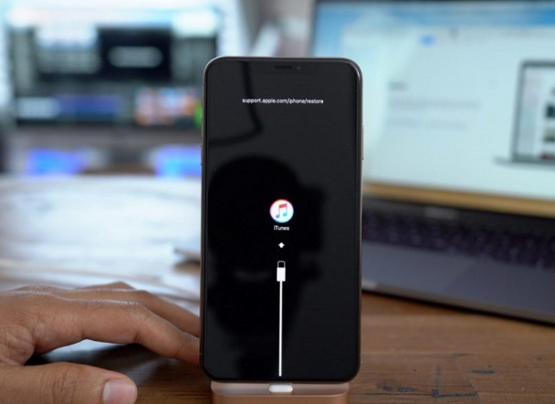 冯坡镇苹果手机维修分享iPhone12进DFU教程 